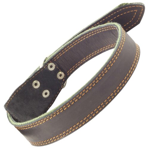 фото Ошейник гамма двойной на