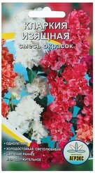 Семена цветов Кларкия изящная смесь окрасок, О, 0,2 г