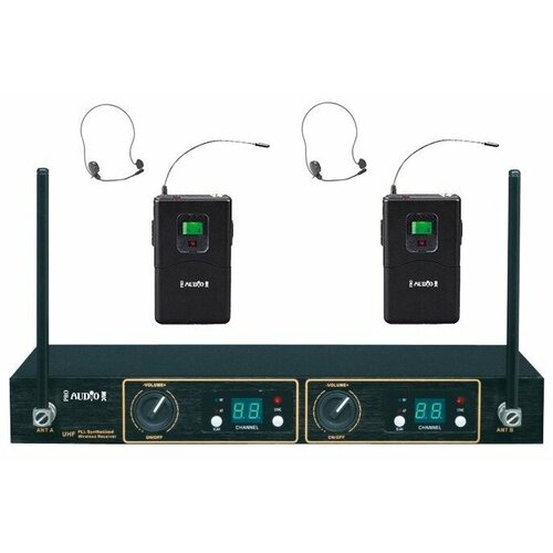 Радиосистема на два микрофона ProAudio DWS-804PT