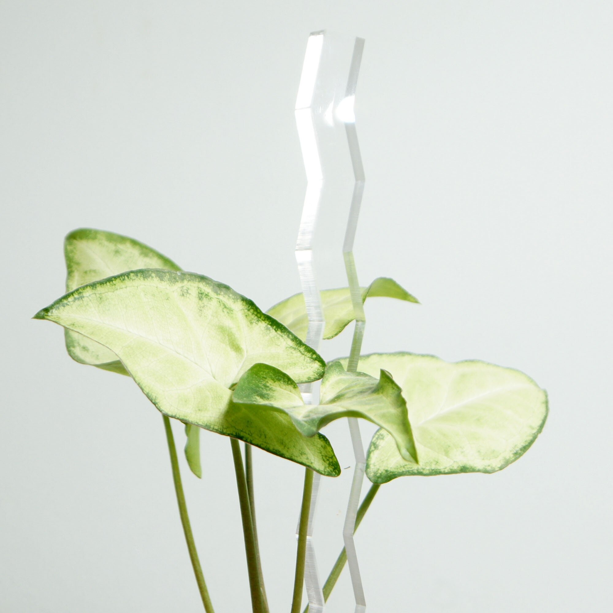 Опора для растений "ZIGZAG", прозрачная, высота 30 см - фотография № 4