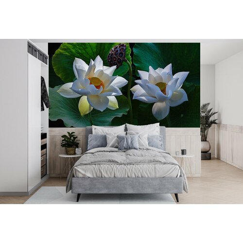 Фотообои бесшовные 