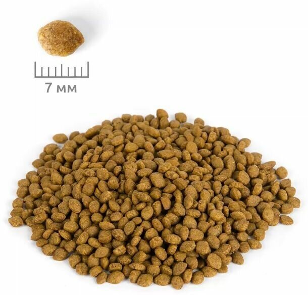 Сухой корм Delicana для котят с чувствительным пищеварением Индейка, 400 г - фотография № 9