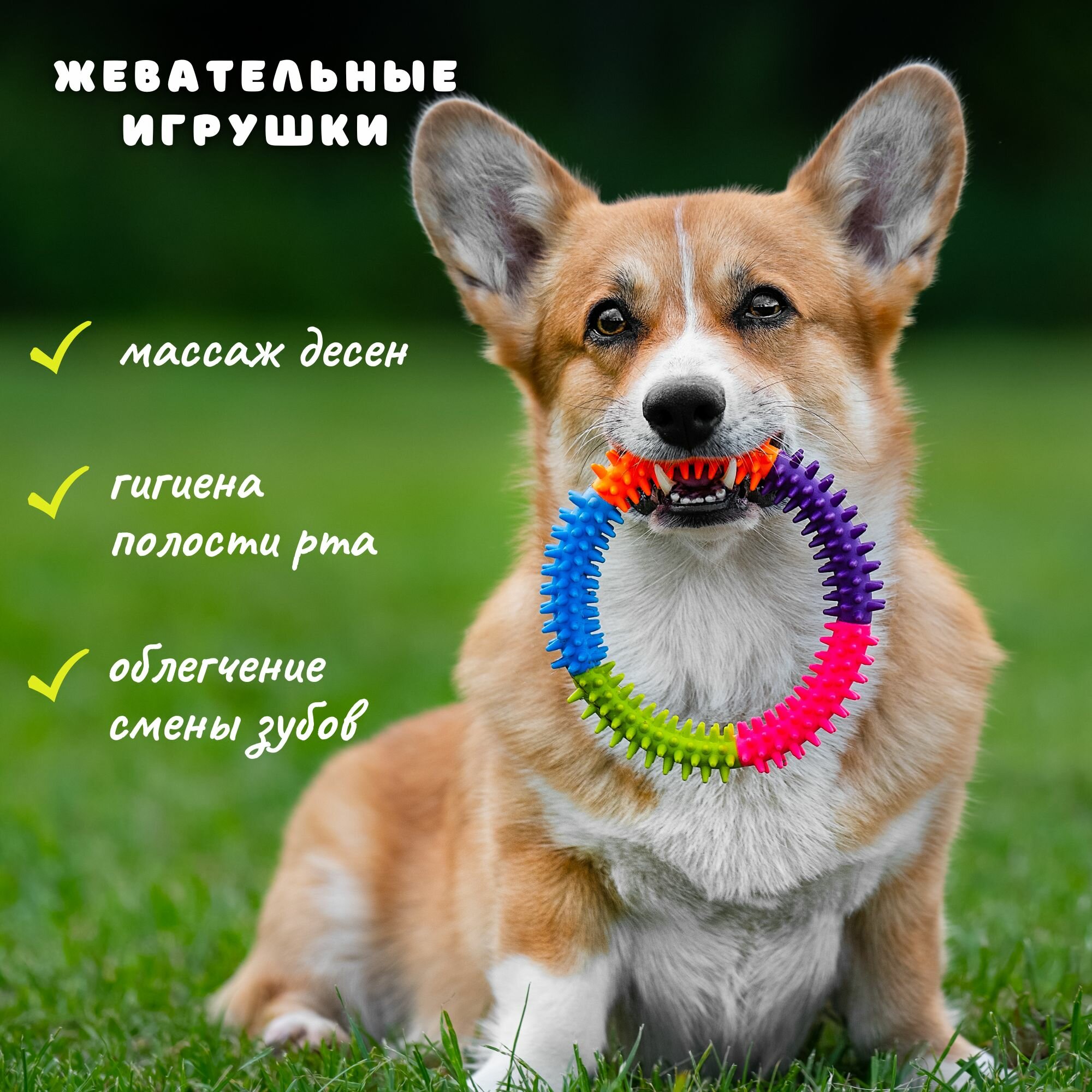 Набор игрушек для собак Petberry - фотография № 13
