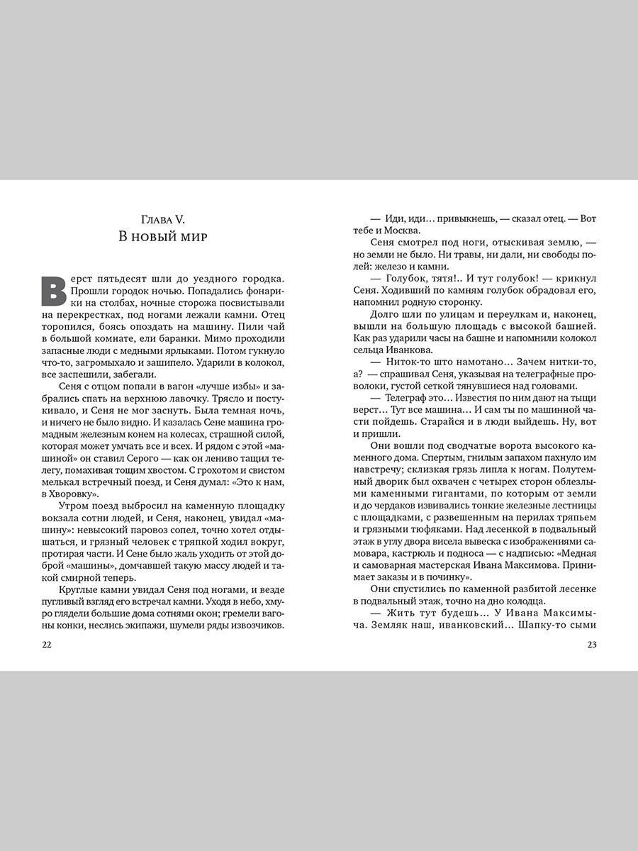 В новую жизнь (Шмелев Иван Сергеевич) - фото №12