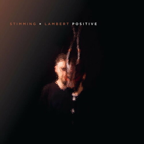 Stimming X Lambert Виниловая пластинка Stimming X Lambert Positive виниловая пластинка eu stimming x lambert positive 2lp