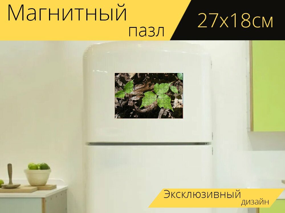 Магнитный пазл "Ядовитый плющ, завод, листья" на холодильник 27 x 18 см.