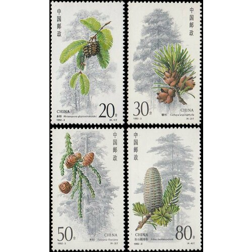 Почтовые марки Китай 1992г. Хвойные деревья Флора, Деревья MNH