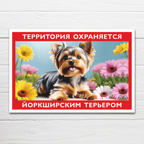 фото Табличка "территория охраняется йоркширским терьером", 33х25 см, пвх домзнак