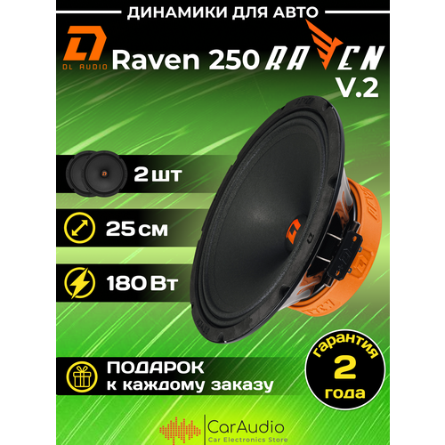 Акустическая система DL Audio Raven 250 V2 25 см 10 громкая эстрадная пара 1038400₽