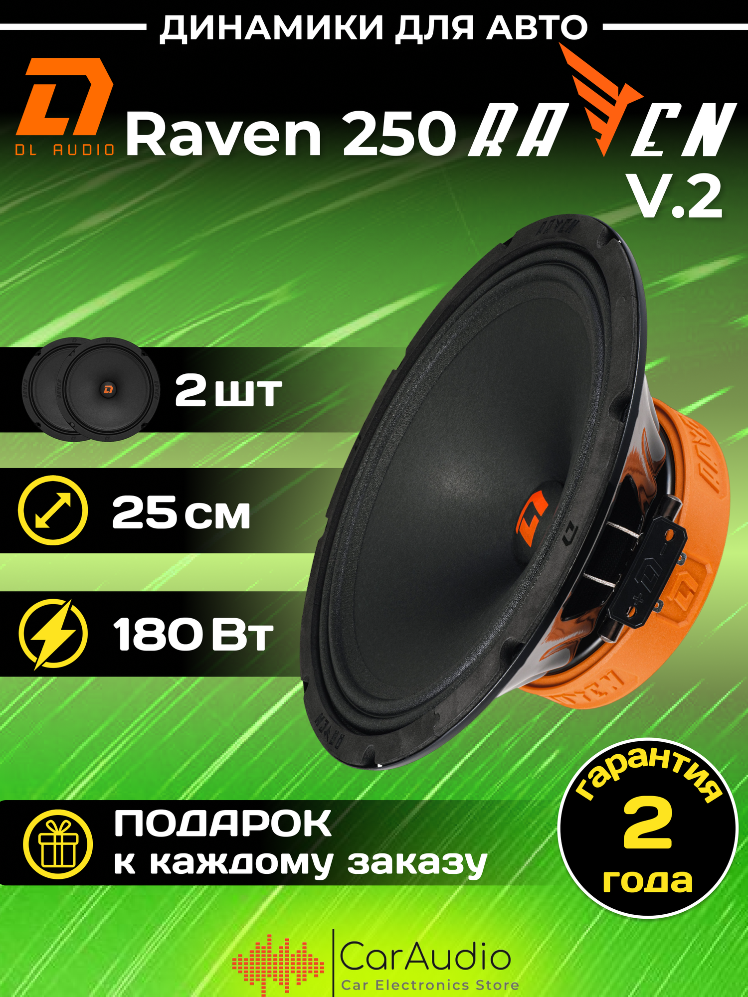 Акустическая система DL Audio Raven 250 V.2 25 см 10" (громкая, эстрадная, пара)