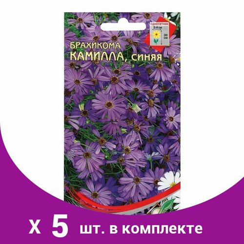 Семена цветов Брахикома 'Камилла', синяя, 150 шт (5 шт)