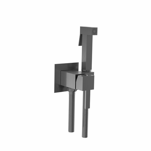 Встраиваемый смеситель с гигиеническим душем RGW Shower Panels SP-212Gr серый Brush 581408212-06