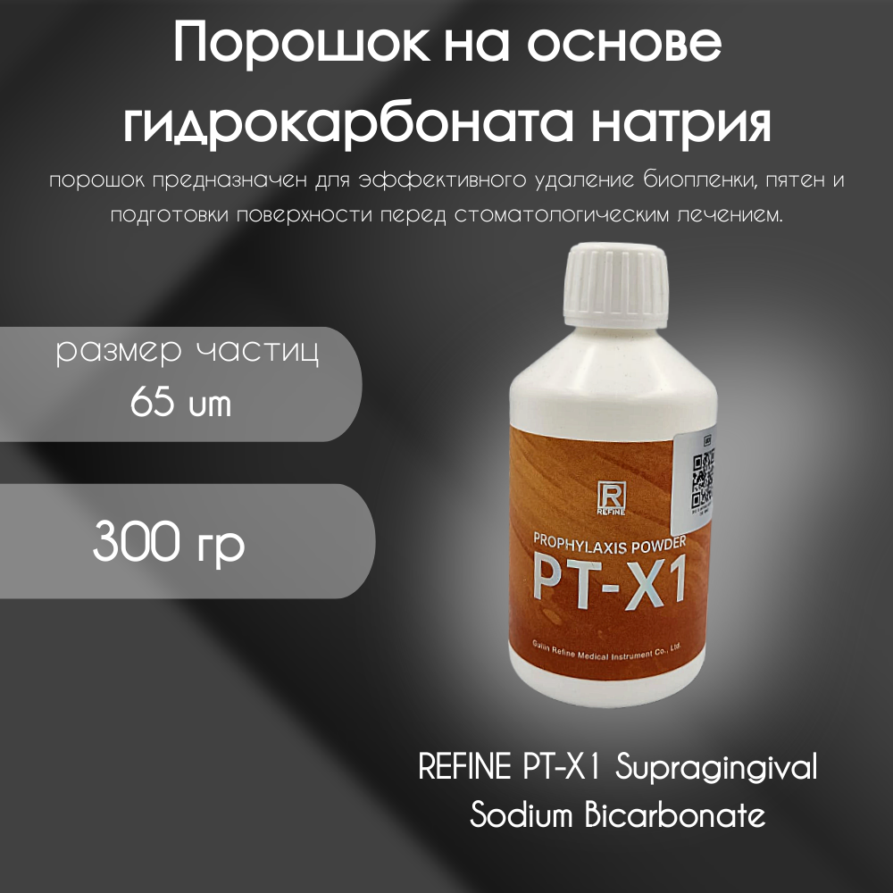 Порошок REFINE PT-X1