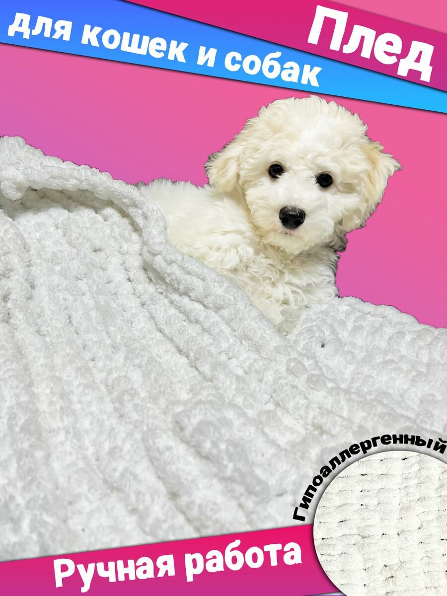 фото Плед одеяло для животных