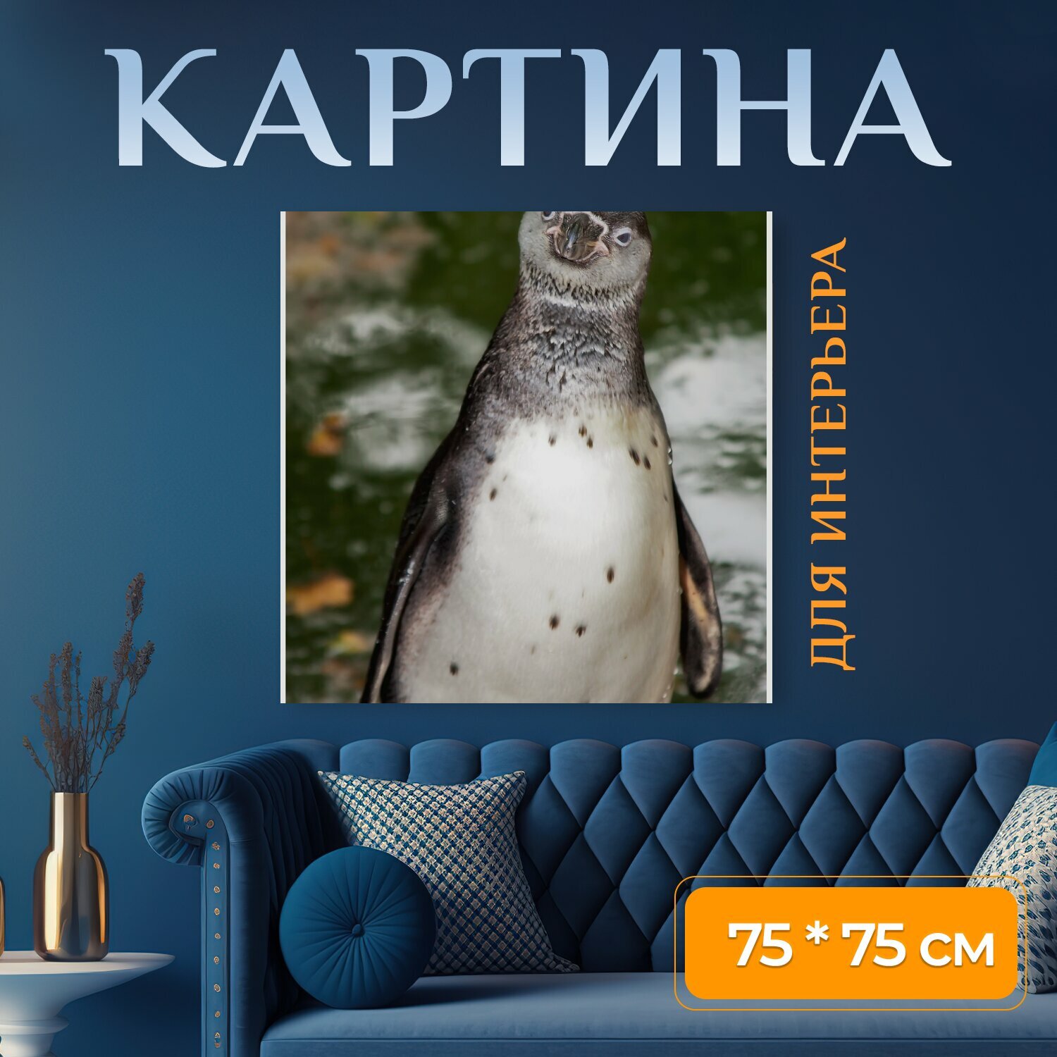 Картина на холсте "Пингвин, любопытный, птица" на подрамнике 75х75 см. для интерьера