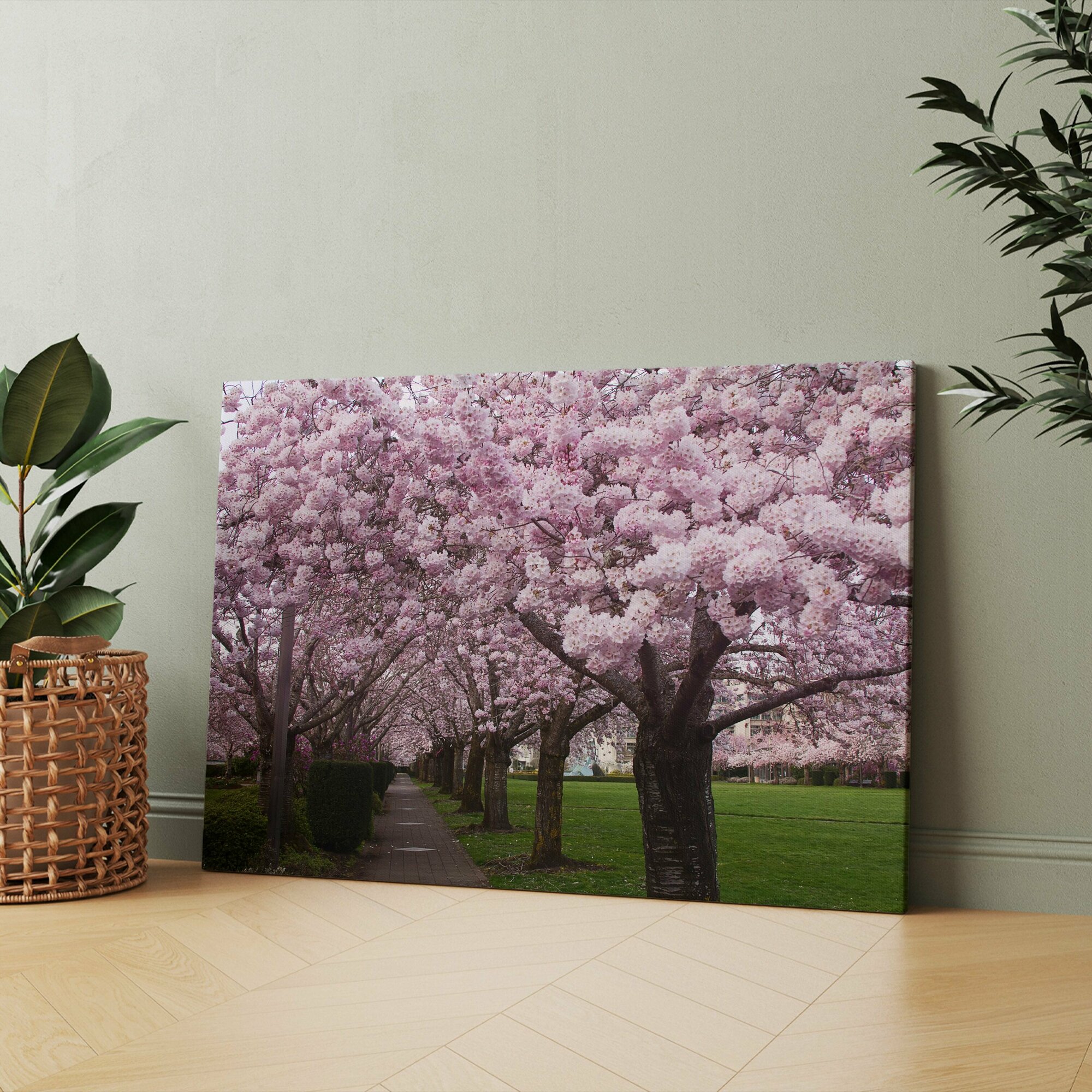 Картина на холсте (сакура деревья аллея цветущая вишня черри блоссом) 20x30 см/для интерьера/в комнату/на стену/в подарок