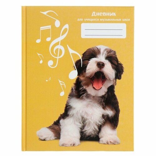Listoff Дневник для музыкальной школы, 48 листов, твёрдая обложка, матовая ламинация, тиснение фольгой, со справочной информацией, блок 60г/м2