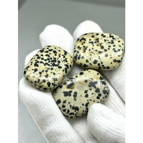 Далматиновая яшма, галтовка 2-3 см, 1 шт