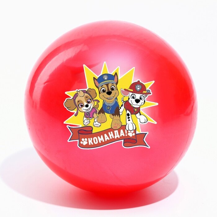 Мяч детский, Paw Patrol Команда, диаметр 16 см, 50 г, цвета микс