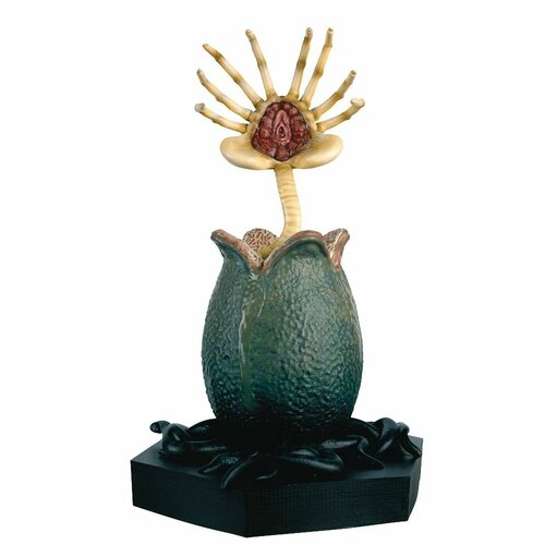 Яйцо и лицехват