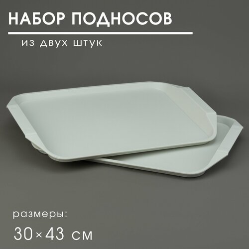 Поднос пластиковый столовый 3043см Martika комплект 2 шт 757₽