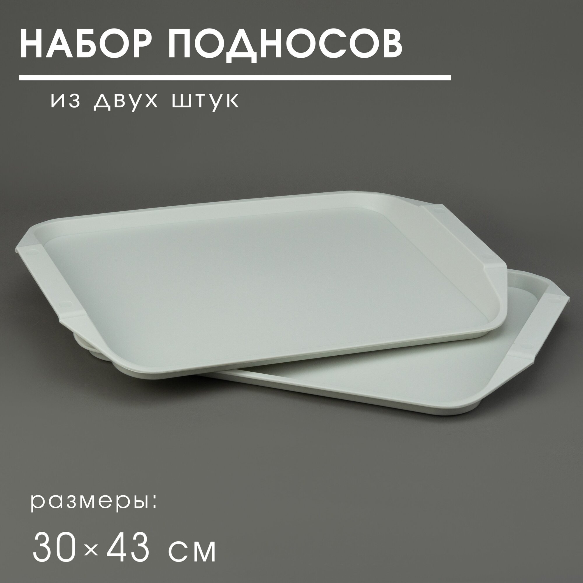 Поднос пластиковый столовый 30*43см Martika комплект 2 шт