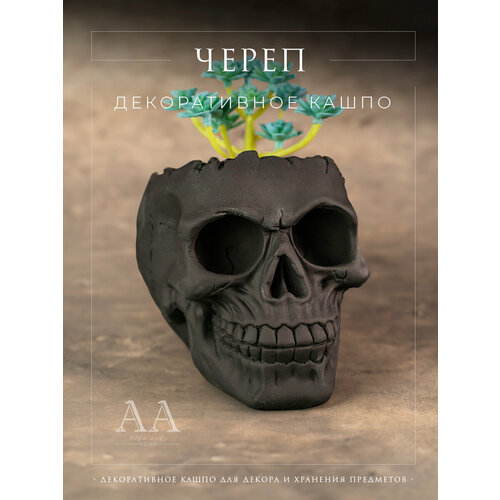 Кашпо из гипса голова Череп маленькое декоративное