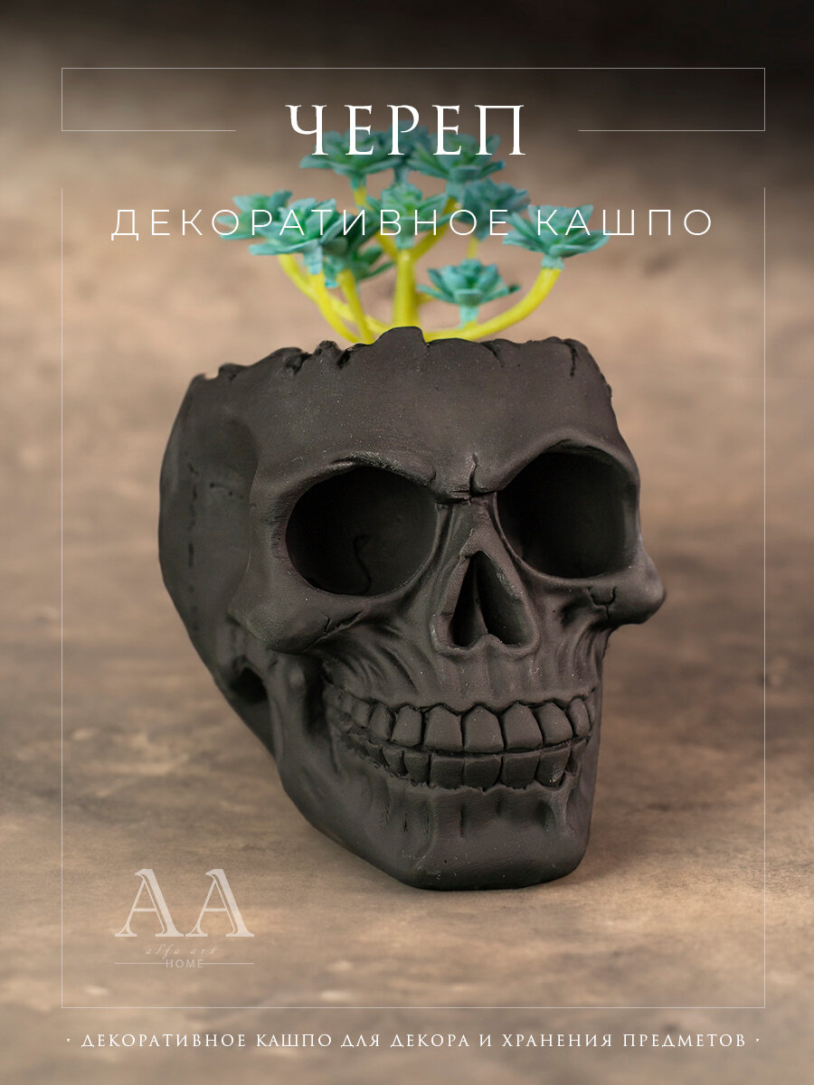 фото Кашпо из гипса голова Череп маленькое декоративное