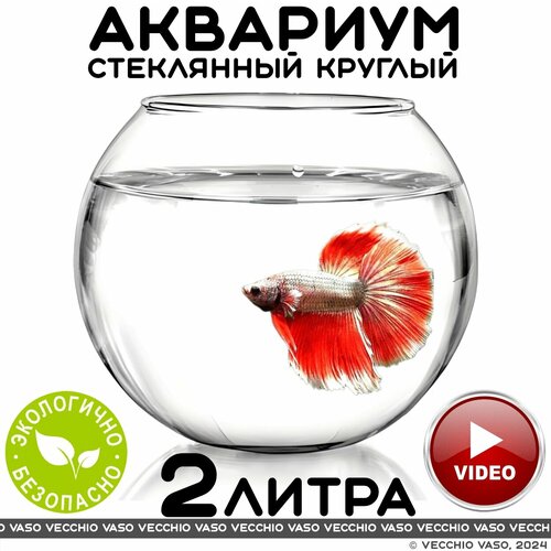 Аквариум vecchio vaso шар круглый стеклянный для рыбок 2 литра