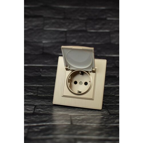 Розетка с крышкой золото