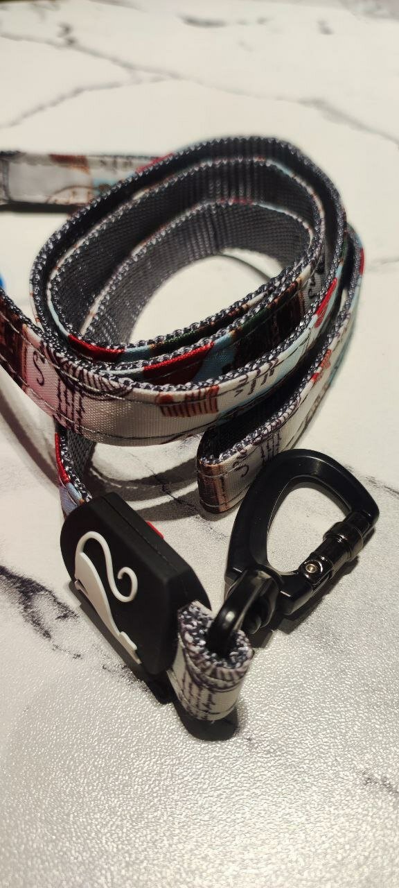 Поводок для вашего питомца, шлейкой для домашних питомцев, случайный цвет