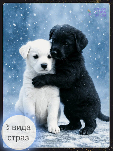 Изображение товара Алмазная мозаика COLOR VISION OF LIFE "Щенки Инь Ян", на подрамнике