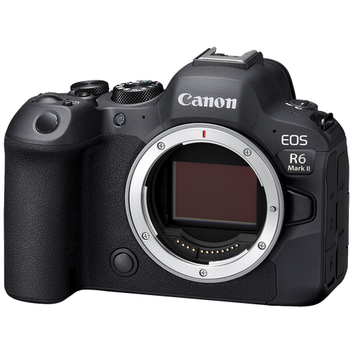 Фотоаппарат Canon EOS R6 Mark II Body адаптер EF-EOS R