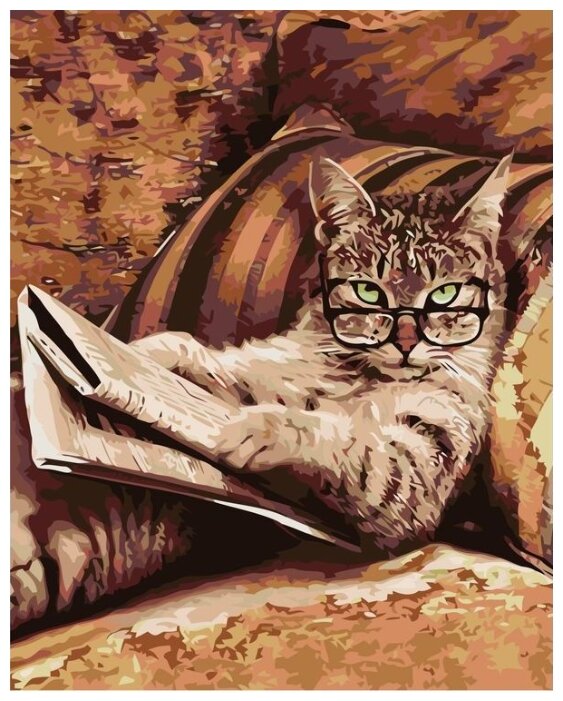 Картина по номерам "Кот учёный", 40x50 см