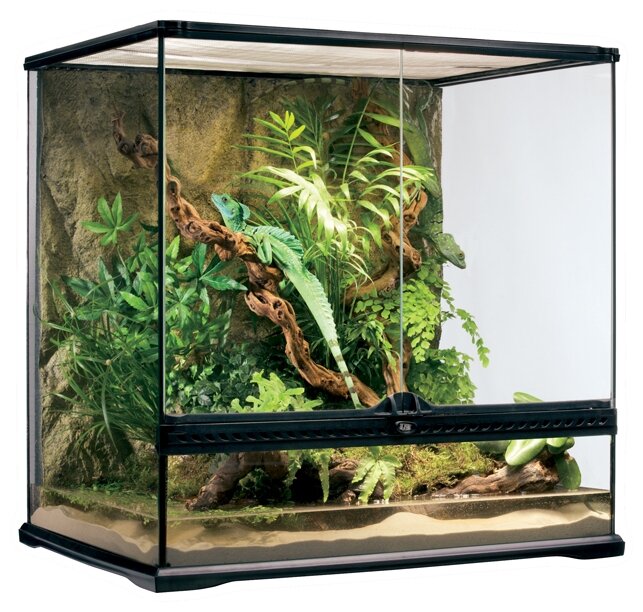 Террариум EXO TERRA Natural Terrarium Large из силикатного стекла (90х45х90см) PT2609 - фотография № 2