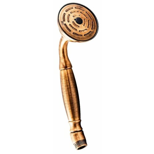 фото Лейка для душа bossini