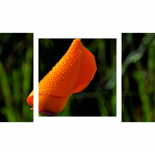 Модульная картина Бутон Размер 995х152см 80х3870х7080х38 5217₽