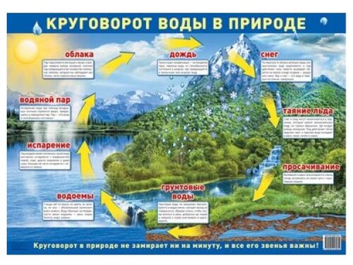 Плакат Творческий Центр СФЕРА Круговорот воды в природе