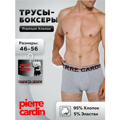 фото Трусы pierre cardin, размер 6/xl(50-52), серый
