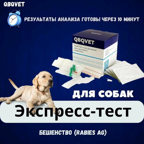 Экспресс-тест QBQVET Бешенство (Rabies Ag) экспресс тест whiteproduct distemper ag на антигены вируса чумы плотоядных