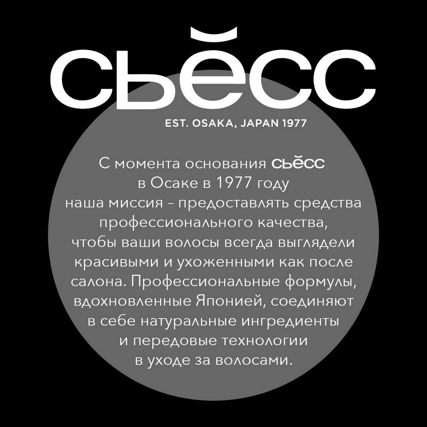 СЬЕСС Шампунь + Бальзам мужской 2в1 Control & Care для нормальных волос, бережное очищение кожи головы, 450 мл