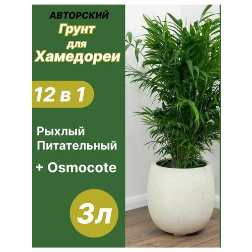 Грунт для Хамедореи 3л готовый 849₽