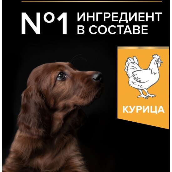 Корм сухой для щенков крупных пород с атлетическим телосложением Pro Plan Puppy Large Athletic Healthy Start с курицей 12 кг — фото 1