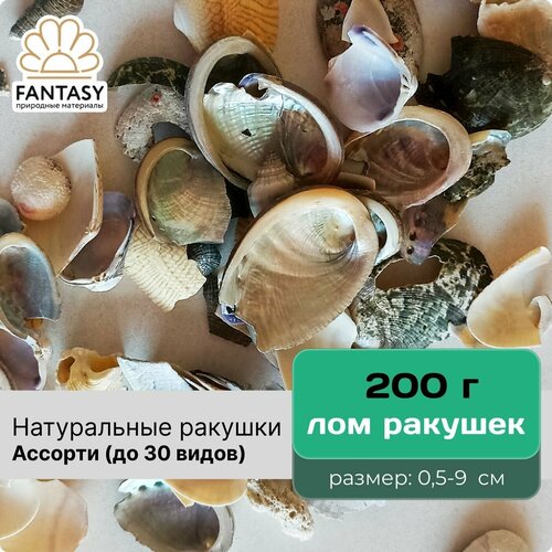 Натуральные морские ракушки FANTASY - лом, размер - 0,5-9 см, набор весом 200 г
