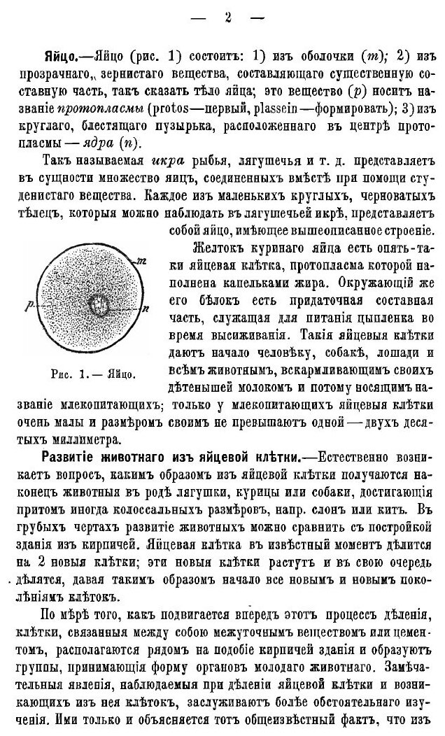 Книга Общедоступная анатомия и физиология человека и животных - фото №5