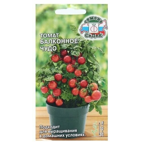 Семена Томат Балконное чудо, 0,1 г 16 упаковок семена томат балконное чудо 25 шт