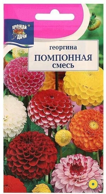 Семена цветов Цв Георгина Смесь "Помпонная",0,2 гр