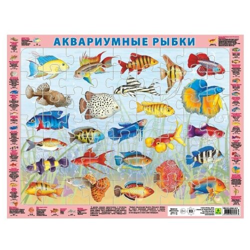 Пазл РУЗ Ко Аквариумные рыбки, на подложке (36х28 см), 63 дет., разноцветный пазл руз ко алфавит английский на подложке 36х28 см 63 дет разноцветный