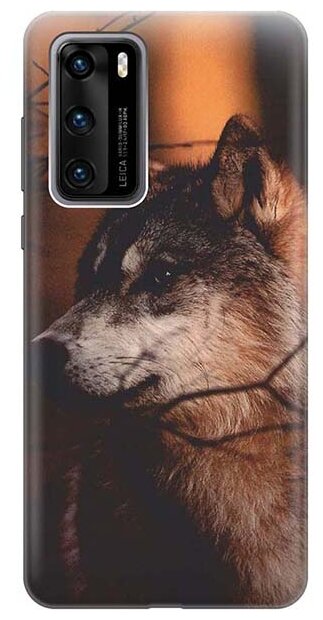 Чехол - накладка ArtColor для Huawei P40 с принтом "Красивый волк"