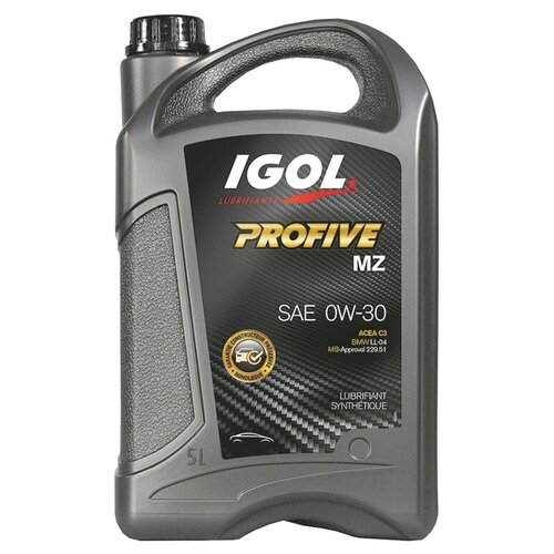 Моторное масло IGOL PROFIVE MZ 0W30 (5L)